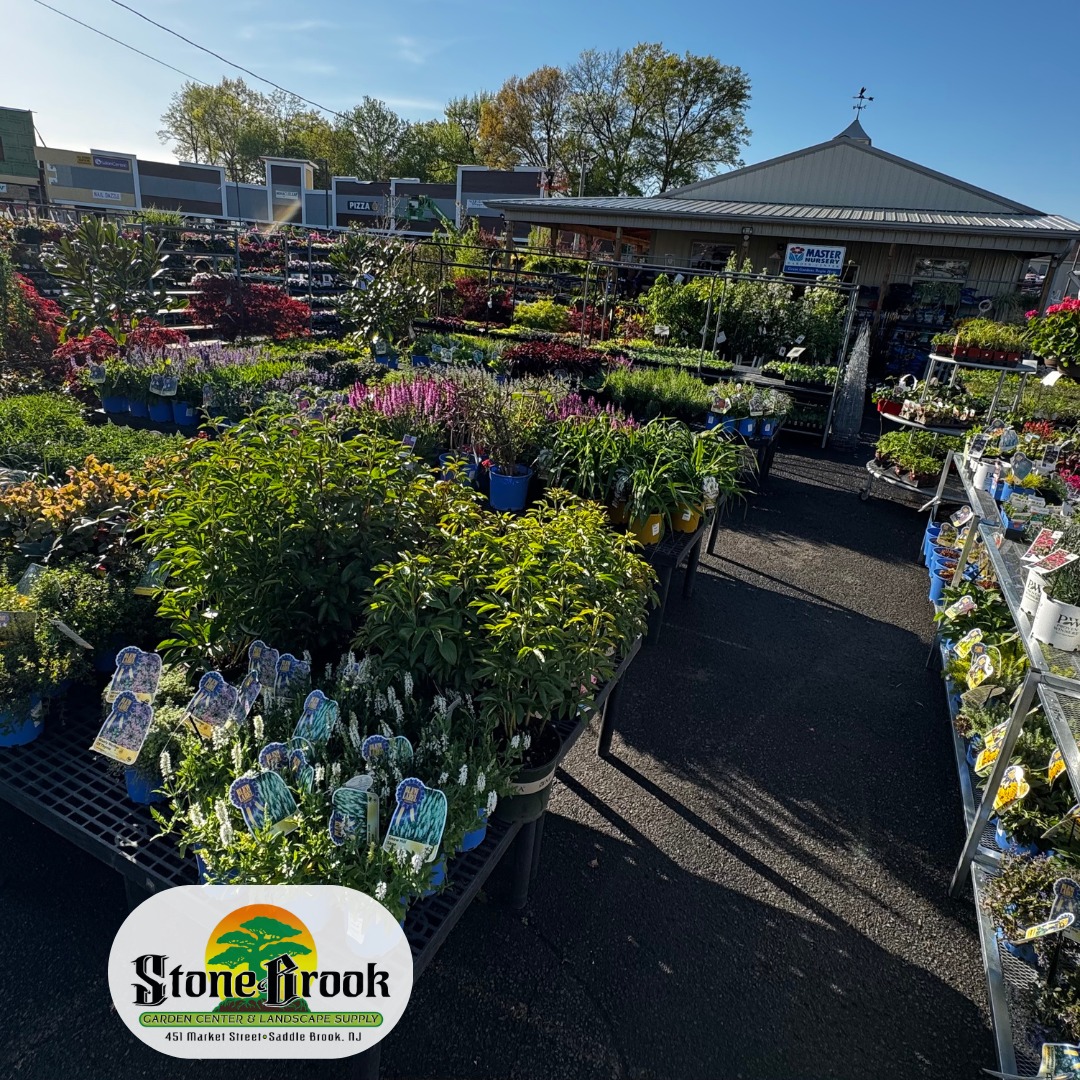 Photo landscaping products