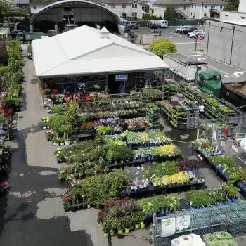 download (1) download (1)