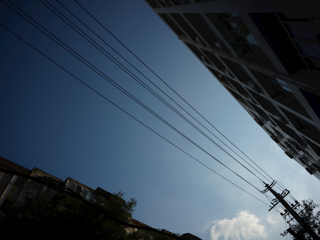 image-14 Photo landscape supply