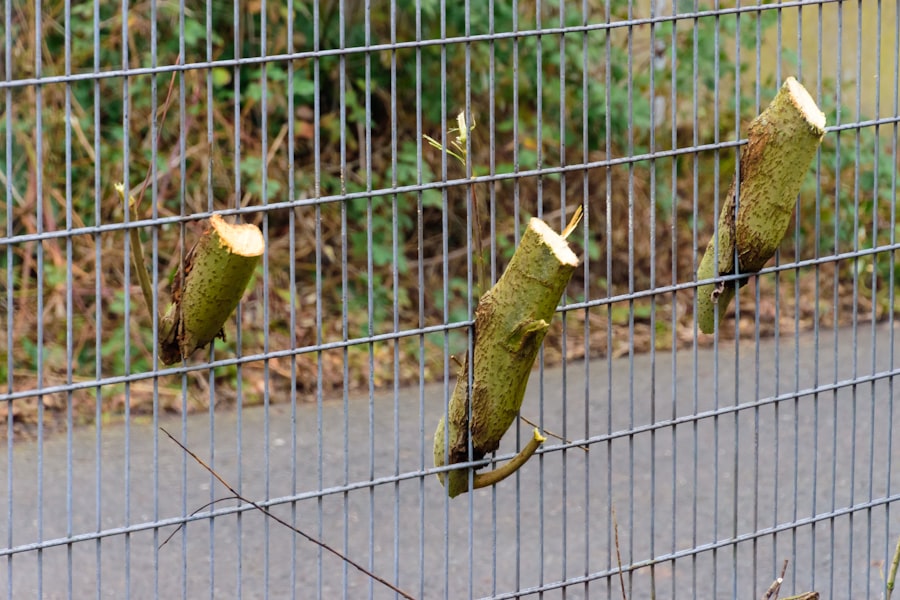 Photo landscaping materials