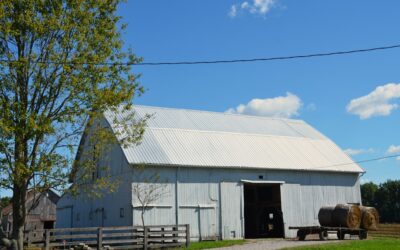 Find Landscape Materials Near Me for Your Next Project