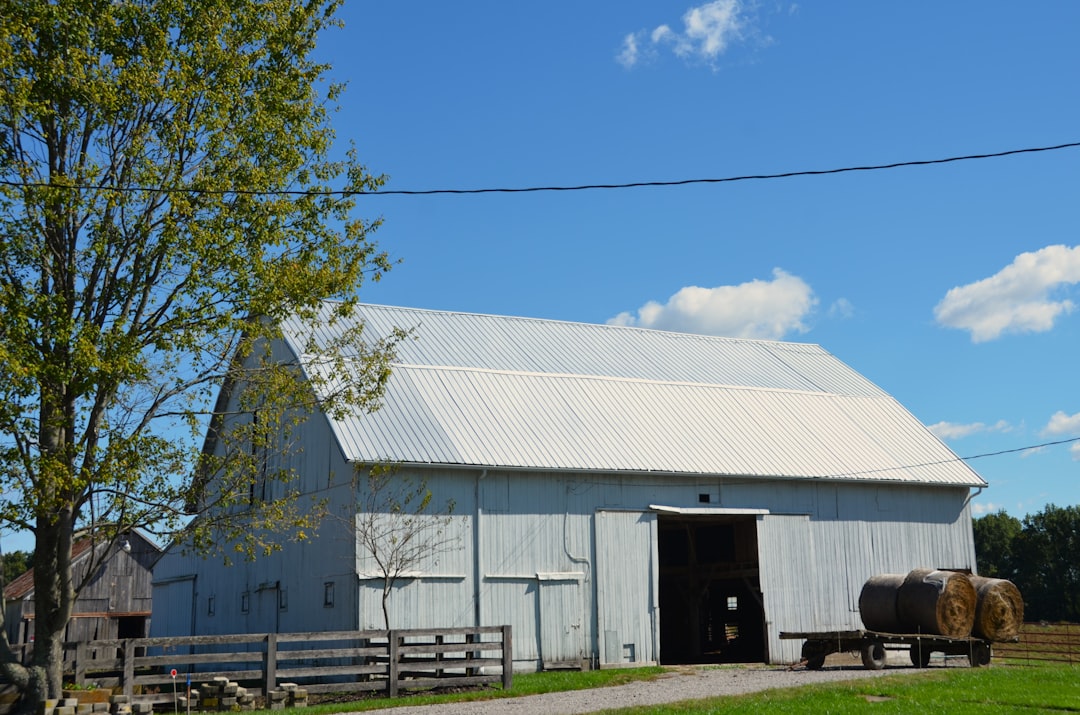 Photo landscape materials