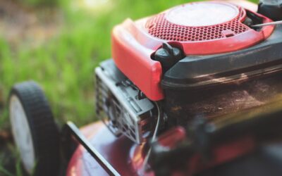 Find Garden Supplies Near Me for Your Next Project