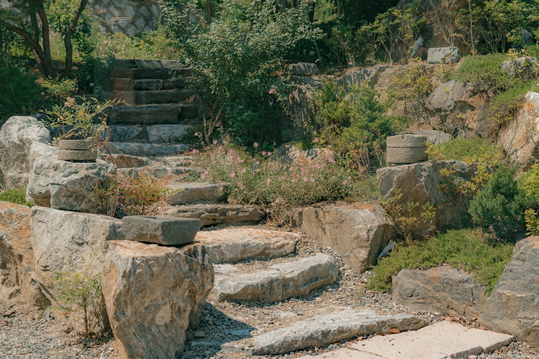 image-6 Photo landscape stone