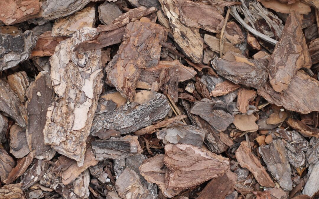 Enhance Your Landscape with Mulch