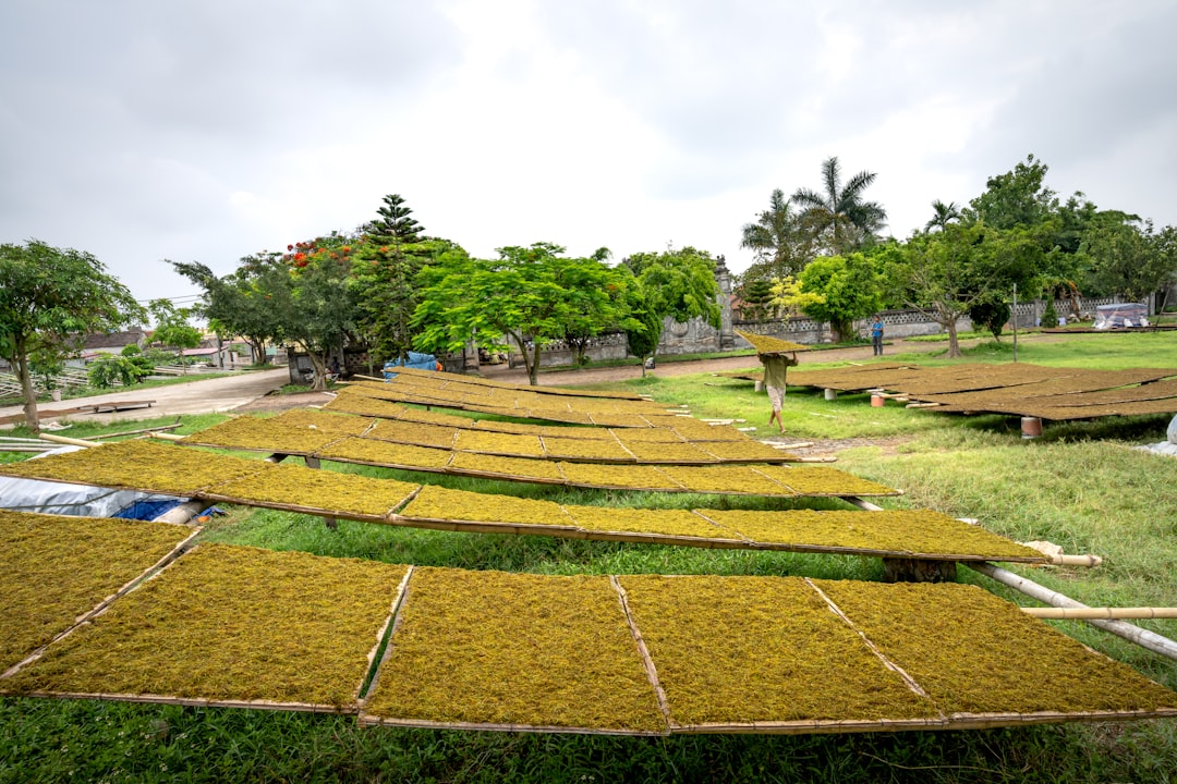 Photo landscaping products