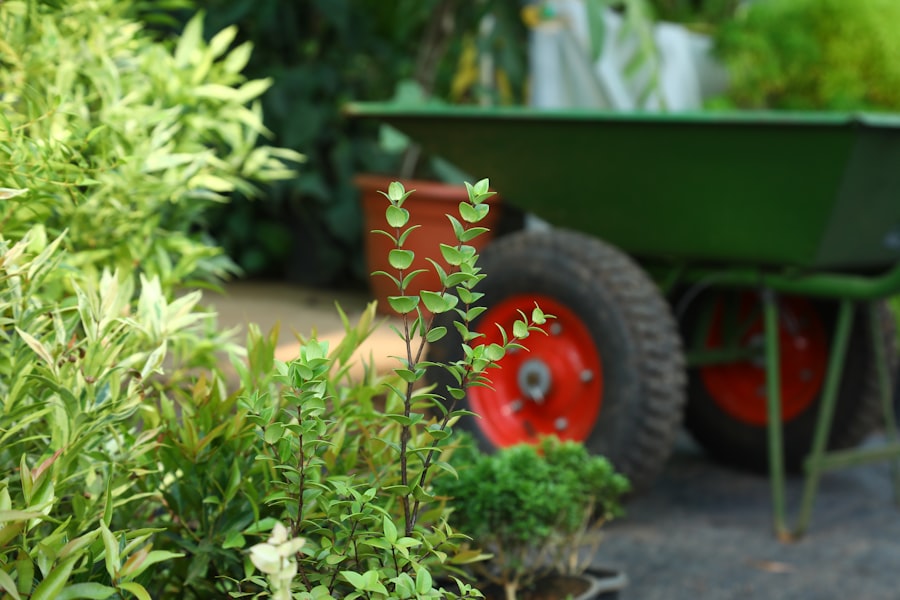 Photo landscaping products