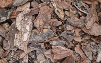 Enhance Your Landscape with Mulch