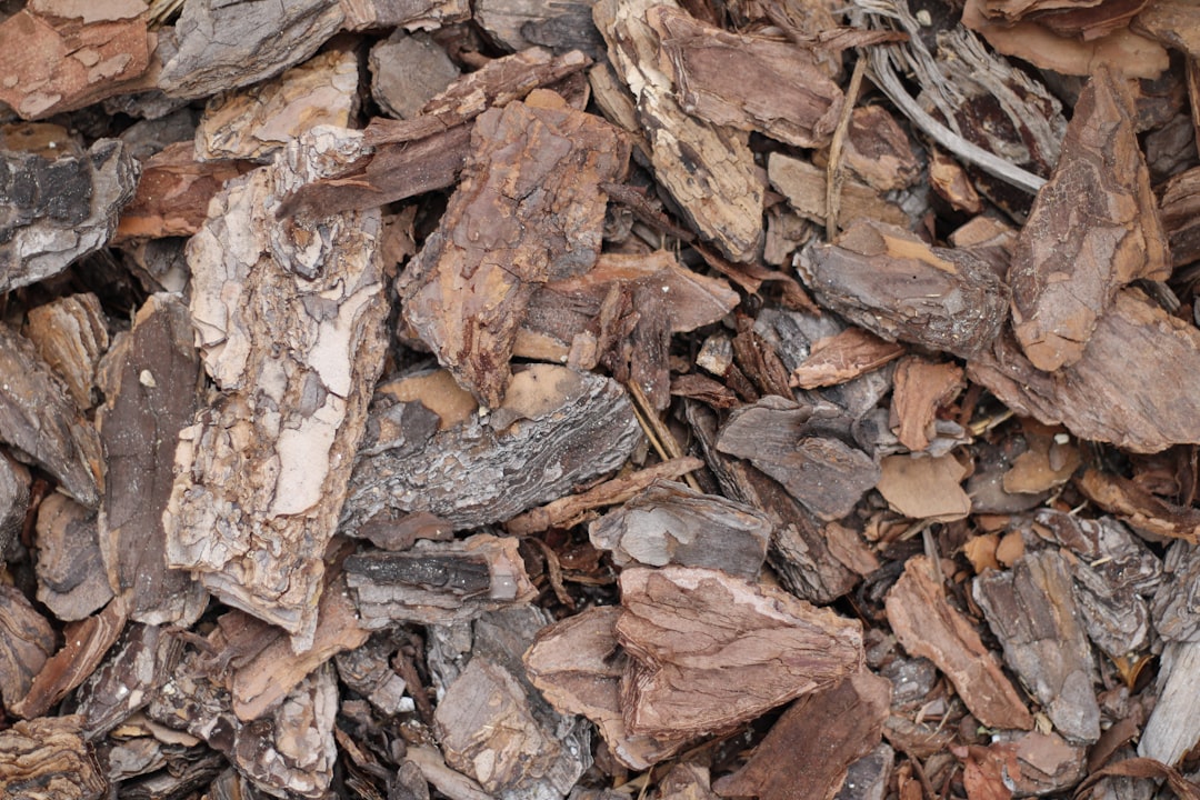 Photo mulch