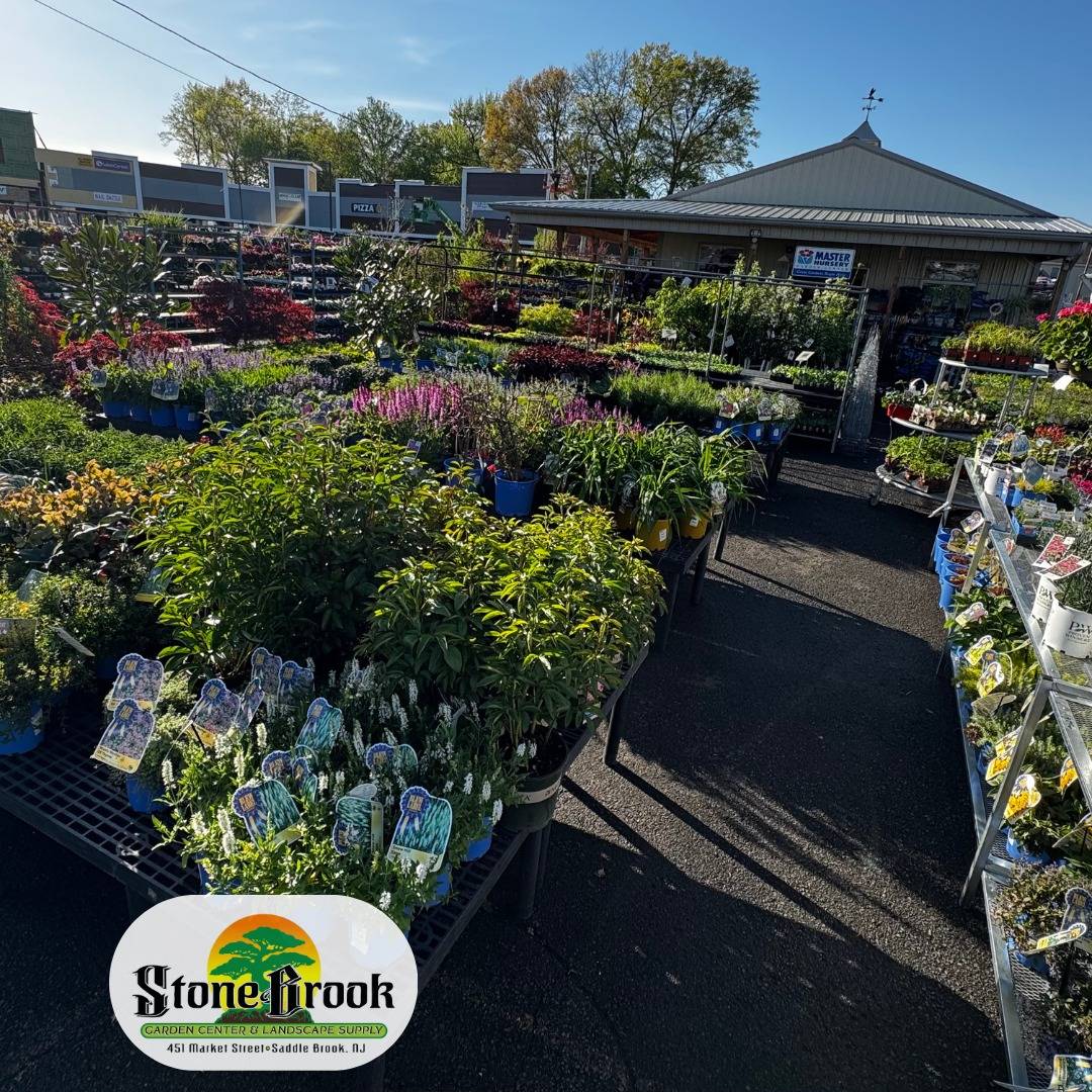 Landscape-Design-img-1